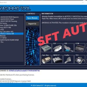 DST VAG IMMO TOOL SOFTWARE